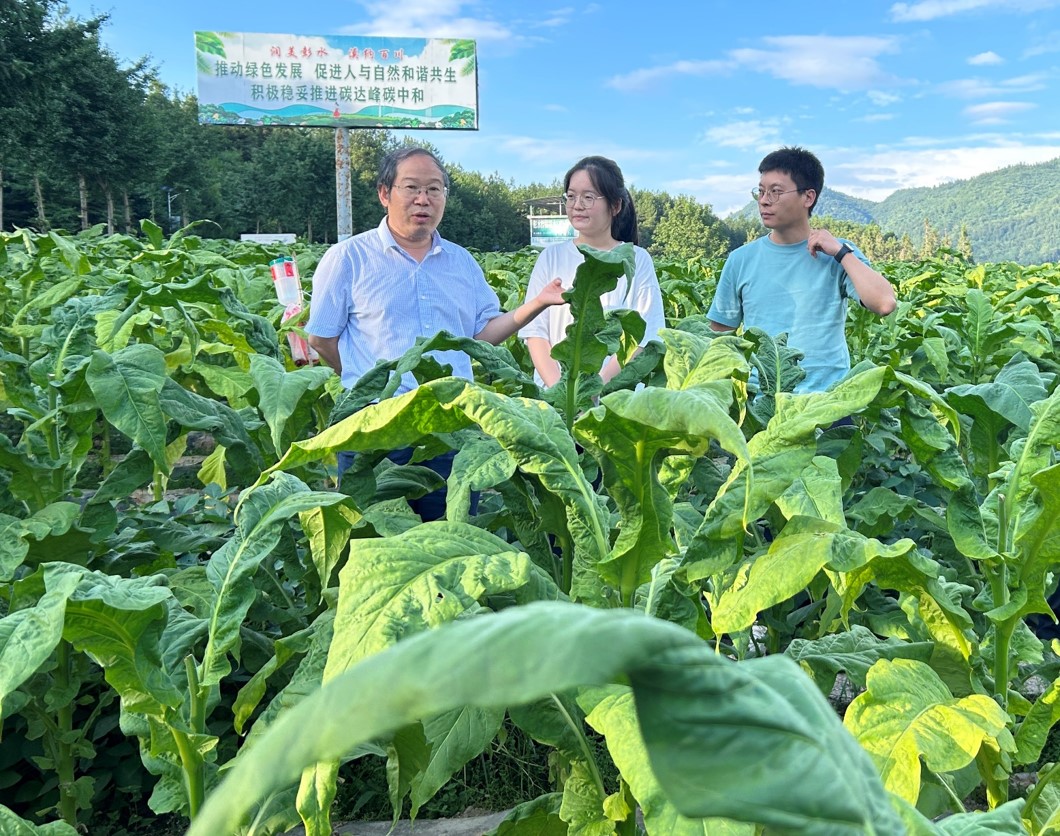 实地考察—丁伟教授赴彭水示范区调研