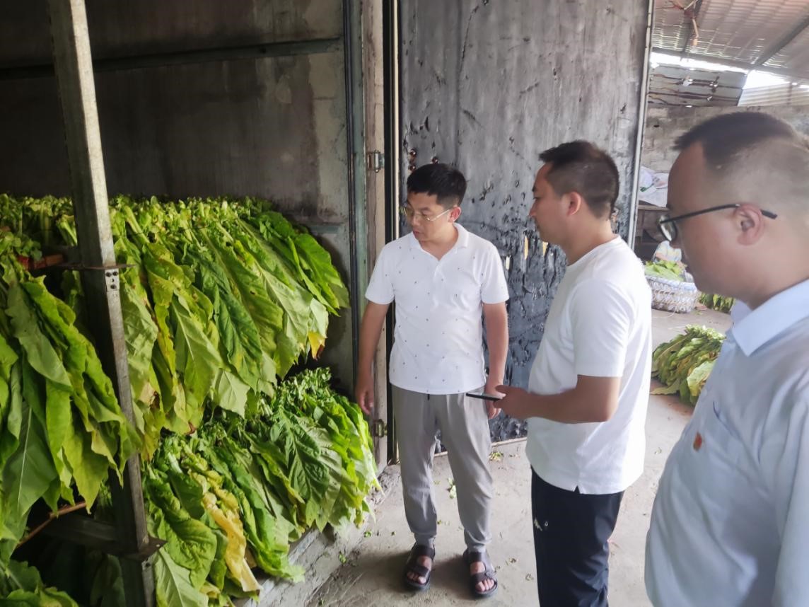 重庆中烟肖庆礼博士赴酉阳龚滩考察