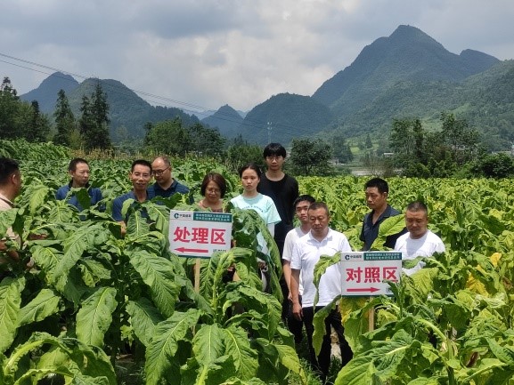 项目组完成《蜜甜香型烟区主要根茎病害绿色防控技术研究应用》贵州省揭榜挂帅项目关键节点考核