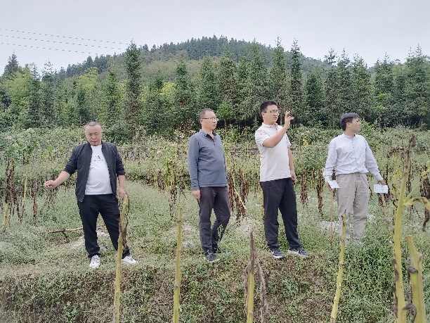 “早”字当头—提前落实2024年贵州项目工作