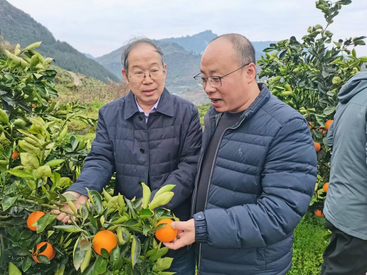 新闻稿2 图1.jpg