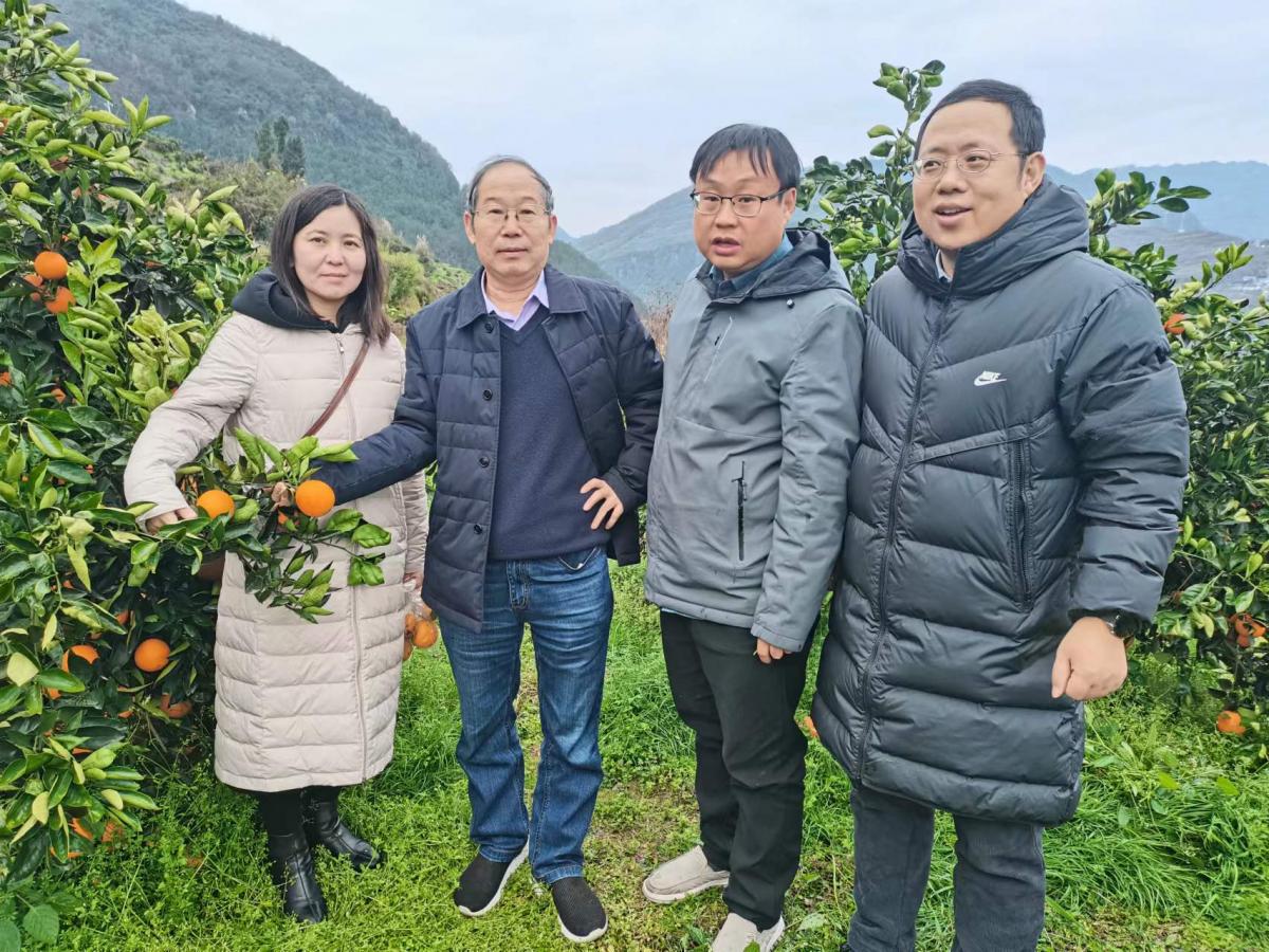 新闻稿2 图2.jpg