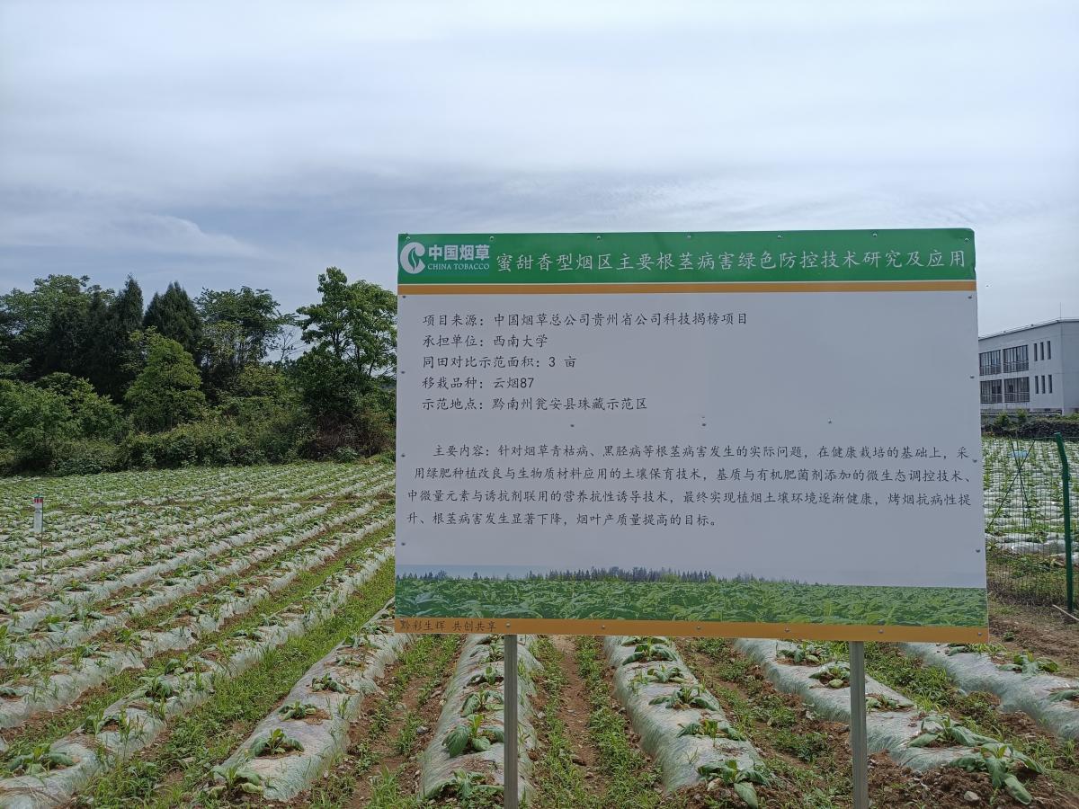 挺膺担当 不懈奋斗—西南大学项目组在贵州黔南瓮安示范区开展项目工作