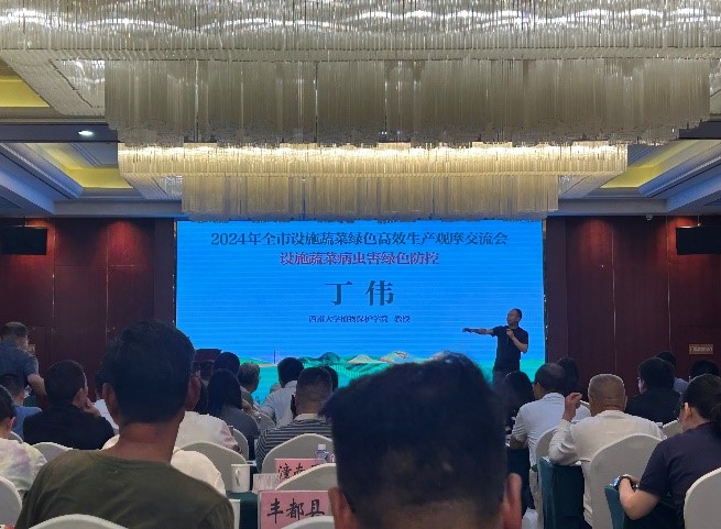 丁伟教授受邀参加2024年重庆市设施蔬菜绿色高效生产观摩交流会