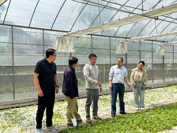 丁伟教授一行赴万州白土镇调研