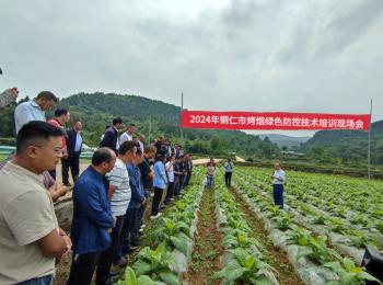 2024年铜仁市烤烟绿色防控技术培训会及现场会
