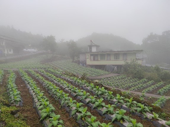 丁伟教授赴彭水烟草基地，助力重庆黔江科技小院启动