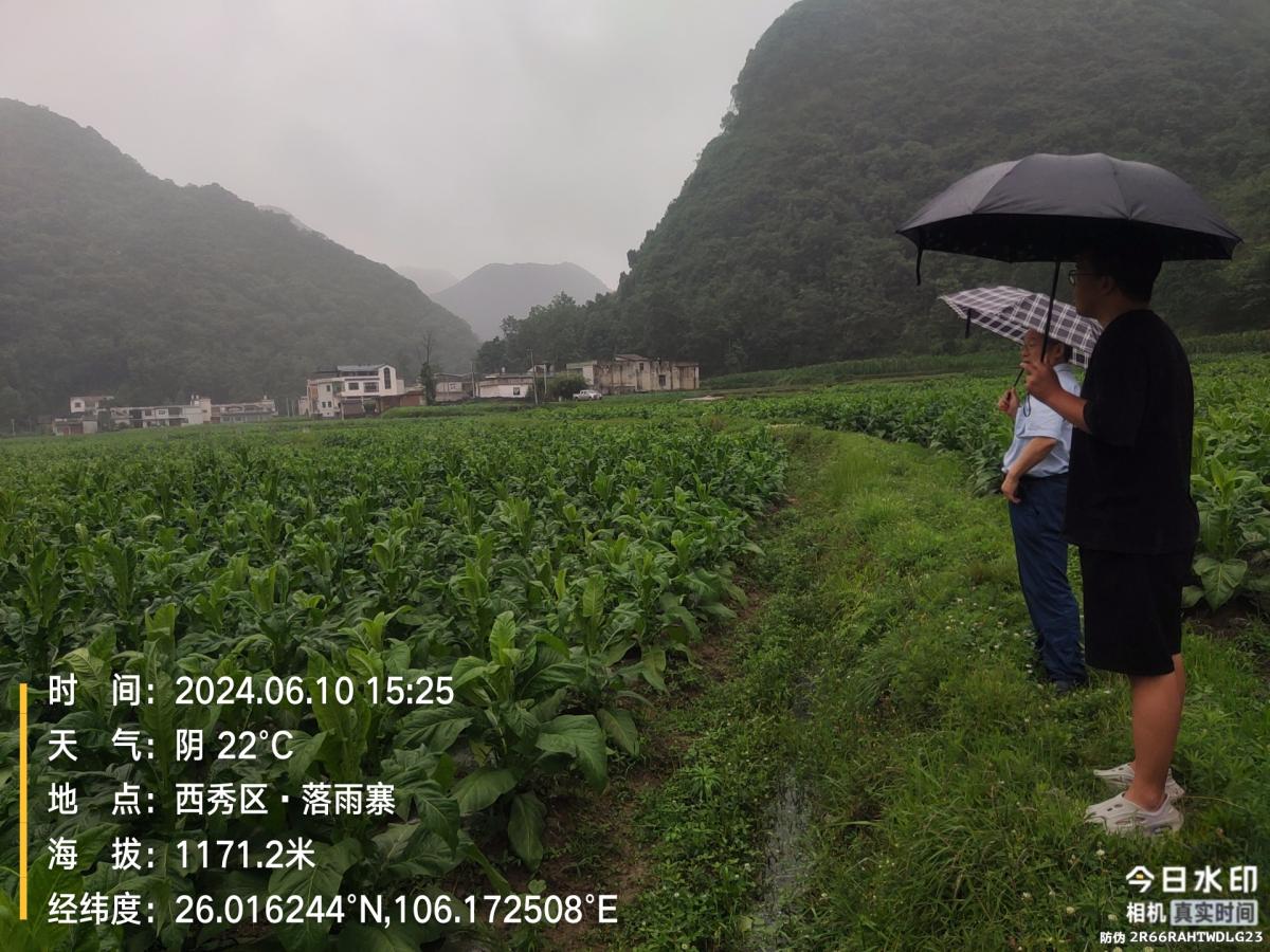 丁伟教授赴安顺杨武基地调研
