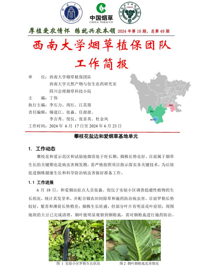 2024年四川基地工作周报第10期
