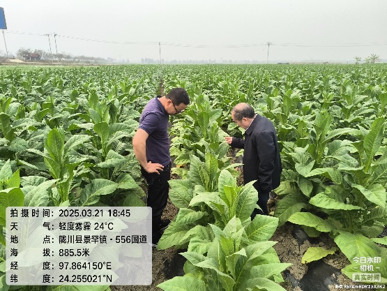 丁伟教授赴云南德宏调研