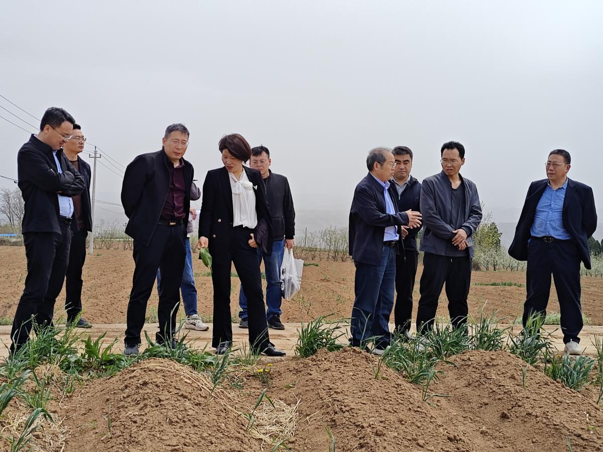 西南大学丁伟教授赴河南三门峡开展农田生态治理攻坚