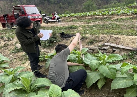 广西百色片区数字化模型实地验证工作圆满完成