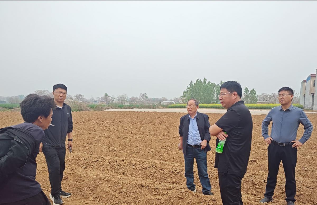科技赋能+烟农联动丨河南烟草根茎病害防治项目科学选地全线告捷