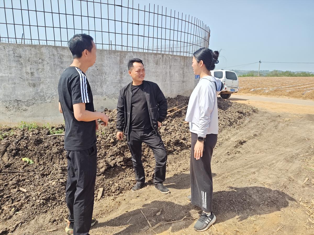 多方协同助力洛阳烟区高质量发展