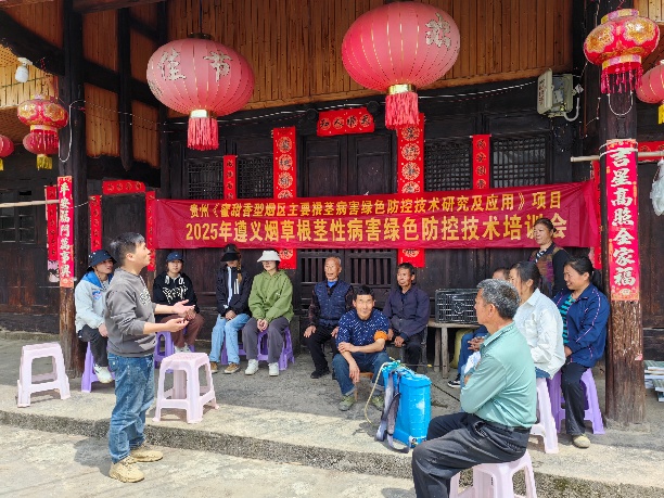 助力烟区生产—西南大学根茎病害绿色防控技术让烟农轻松种优质烟