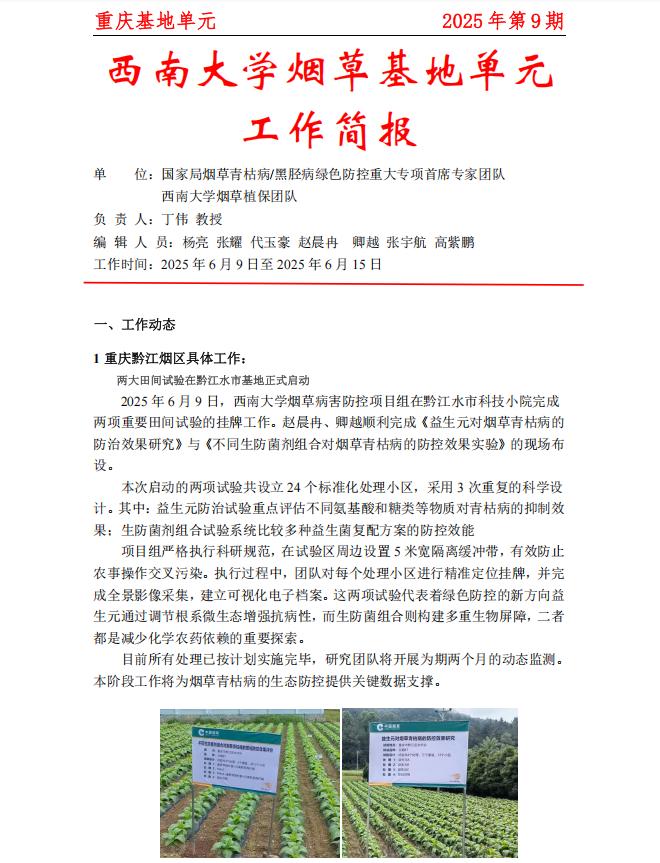 2025年重庆基地周报第9期