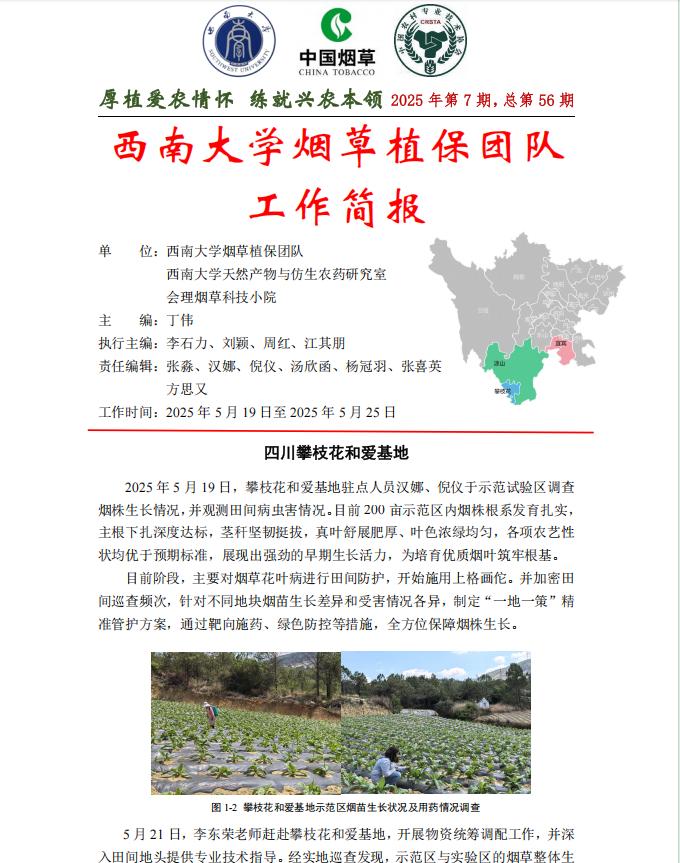 2025年四川基地单元周报-第7期