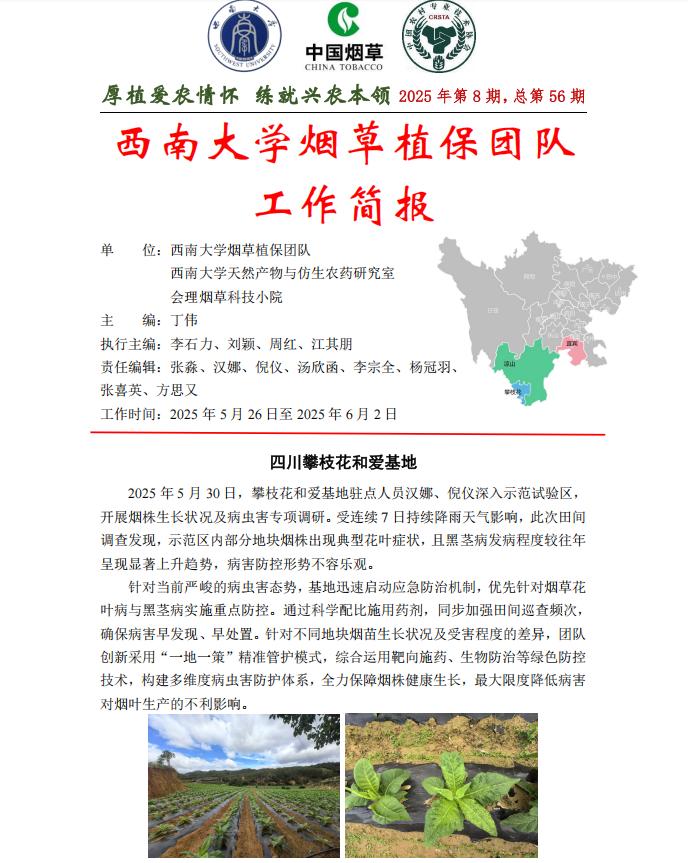 2025年四川基地单元周报-第8期