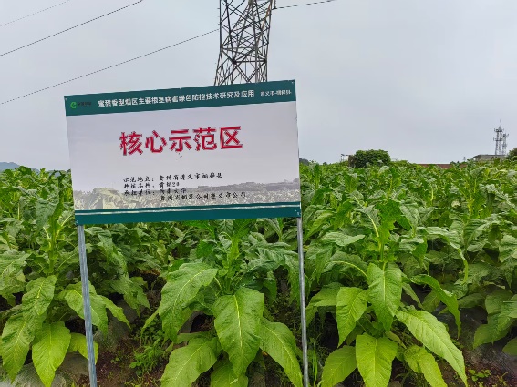 图片2.jpg 图片2.jpg