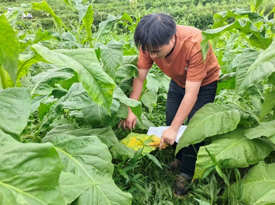 图片4.jpg 图片4.jpg