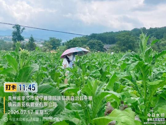 图片2.jpg 图片2.jpg