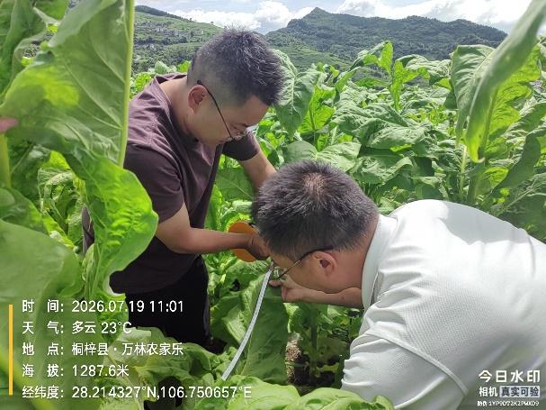 WPS图片.jpeg WPS图片.jpeg
